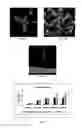 Fig. 03 - Microneedle-based transdermal delivery system and method of making same
