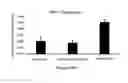Fig. 09 - Microneedle-based transdermal delivery system and method of making same