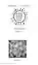 Fig. 13 - Microneedle-based transdermal delivery system and method of making same