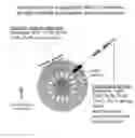Fig. 01 - Multivalent delivery of immune modulators by liposomal spherical nucleic acids for prophylactic or therapeutic applications