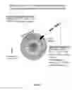 Fig. 02 - Multivalent delivery of immune modulators by liposomal spherical nucleic acids for prophylactic or therapeutic applications