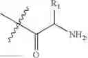 Fig. 05 - Pharmaceutical composition containing docetaxel