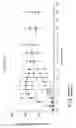 Fig. 27 - IMMEDIATE RELEASE DOSAGE FORMS THAT DETER ABUSE BY ORAL INGESTION OF MULTIPLE DOSAGE UNITS