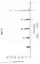 Fig. 32 - IMMEDIATE RELEASE DOSAGE FORMS THAT DETER ABUSE BY ORAL INGESTION OF MULTIPLE DOSAGE UNITS