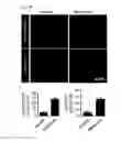Fig. 09 - COMPOSITION USING METFORMIN FOR PREVENTING OR TREATING IMMUNE DISEASES INCLUDING LUPUS