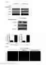 Fig. 15 - COMPOSITION USING METFORMIN FOR PREVENTING OR TREATING IMMUNE DISEASES INCLUDING LUPUS