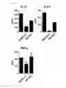 Fig. 17 - COMPOSITION USING METFORMIN FOR PREVENTING OR TREATING IMMUNE DISEASES INCLUDING LUPUS