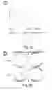 Fig. 05 - Peptide and small molecule agonists of EPHA and uses thereof