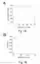 Fig. 13 - Peptide and small molecule agonists of EPHA and uses thereof