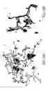 Fig. 30 - Peptide and small molecule agonists of EPHA and uses thereof