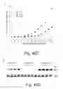 Fig. 47 - Peptide and small molecule agonists of EPHA and uses thereof