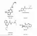 Fig. 04 - Extended duration local anesthetic formulation