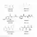 Fig. 06 - Extended duration local anesthetic formulation