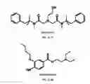 Fig. 08 - Extended duration local anesthetic formulation