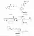 Fig. 09 - Extended duration local anesthetic formulation