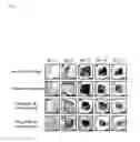 Fig. 04 - Use of composition for modulating angiogenesis