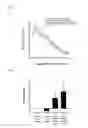 Fig. 05 - Use of composition for modulating angiogenesis