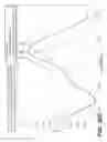 Fig. 34 - Glycopyrrolate salts
