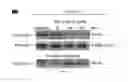 Fig. 07 - METHODS AND COMPOSITIONS FOR TREATING CANCER