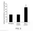 Fig. 03 - Anti-depression compounds