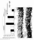 Fig. 15 - Anti-depression compounds