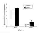 Fig. 16 - Anti-depression compounds