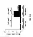 Fig. 47 - Anti-depression compounds