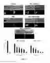 Fig. 53 - Anti-depression compounds