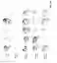 Fig. 57 - Anti-depression compounds