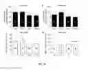 Fig. 66 - Anti-depression compounds