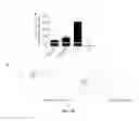 Fig. 70 - Anti-depression compounds