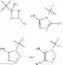 Fig. 05 - Method for treating hepatic encephalopathy or a disease associated with free radical mediate stress and oxidative stress with novel functionalized 1,3-benzene diols