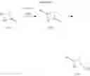 Fig. 121 - Method for treating hepatic encephalopathy or a disease associated with free radical mediate stress and oxidative stress with novel functionalized 1,3-benzene diols