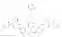 Fig. 896 - Anti-viral compounds
