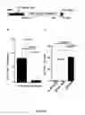 Fig. 05 - METHODS FOR INDUCING INSULIN PRODUCTION AND USES THEREOF
