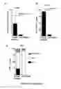 Fig. 07 - METHODS FOR INDUCING INSULIN PRODUCTION AND USES THEREOF