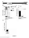 Fig. 08 - METHODS FOR INDUCING INSULIN PRODUCTION AND USES THEREOF
