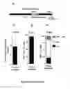Fig. 09 - METHODS FOR INDUCING INSULIN PRODUCTION AND USES THEREOF