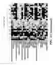 Fig. 05 - HIF inhibitors and use thereof