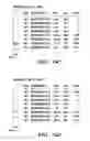 Fig. 25 - HIF inhibitors and use thereof