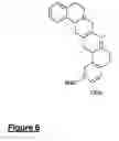 Fig. 07 - HIF INHIBITORS