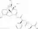 Fig. 1024 - Methods and compositions for preventing opioid abuse