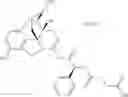 Fig. 131 - Methods and compositions for preventing opioid abuse