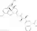 Fig. 216 - Methods and compositions for preventing opioid abuse