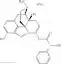 Fig. 879 - Methods and compositions for preventing opioid abuse