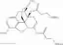 Fig. 962 - Methods and compositions for preventing opioid abuse