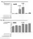 Fig. 25 - Method of treating leukemia using pharmaceutical formulation containing thienotriazolodiazepine compounds