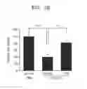 Fig. 05 - SUBSTANCE INDUCING EXPRESSION OF PARKIN POLYPEPTIDE AND USE THEREOF