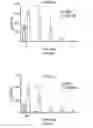 Fig. 04 - Glucocorticoid-loaded nanoparticles for prevention of corneal allograft rejection and neovascularization