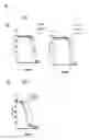 Fig. 06 - Compositions and methods for disease treatment using nanoparticle delivered compounds